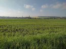Le Linchamp